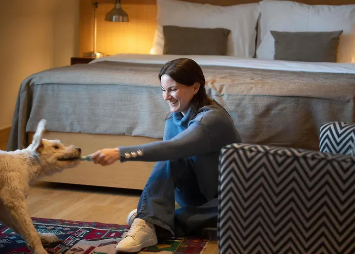 Mercure Excelsior Hotel 4*